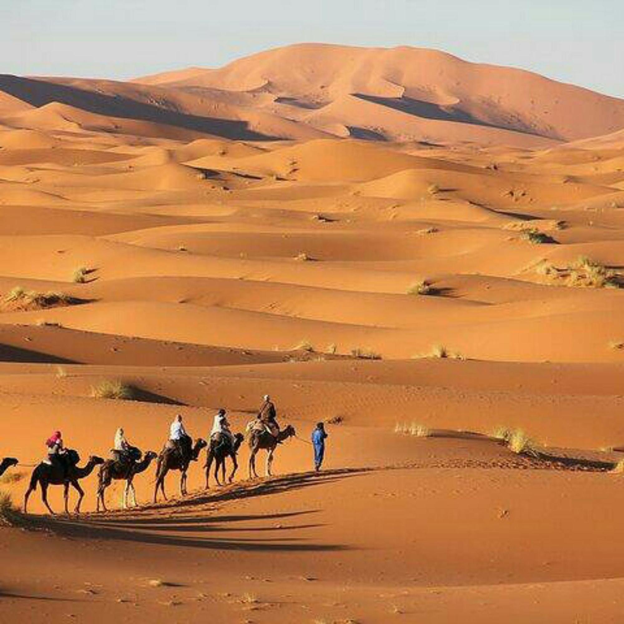 Luxury Glamping Merzouga
